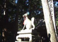 豊川のおきつね様。パソコンではお犬様が時々活躍しますね!